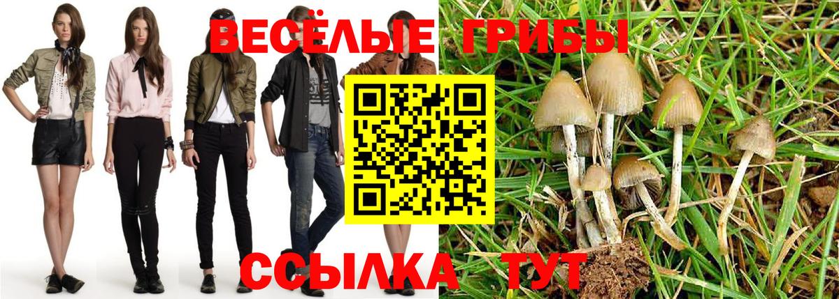 Псилоцибиновые грибы прущие грибы  Вход с VPN  Псилоцибиновые грибы Cubensis  Пенза 