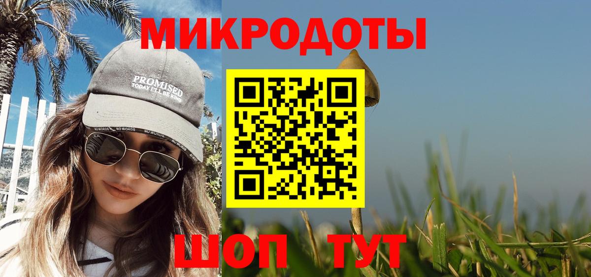 Галлюциногенные грибы Cubensis Пенза